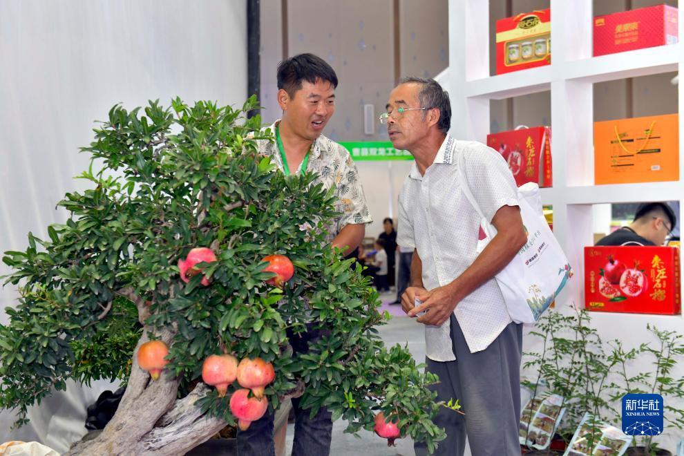 捕鱼大全游戏中心