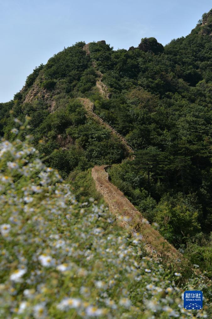 澳博吧
